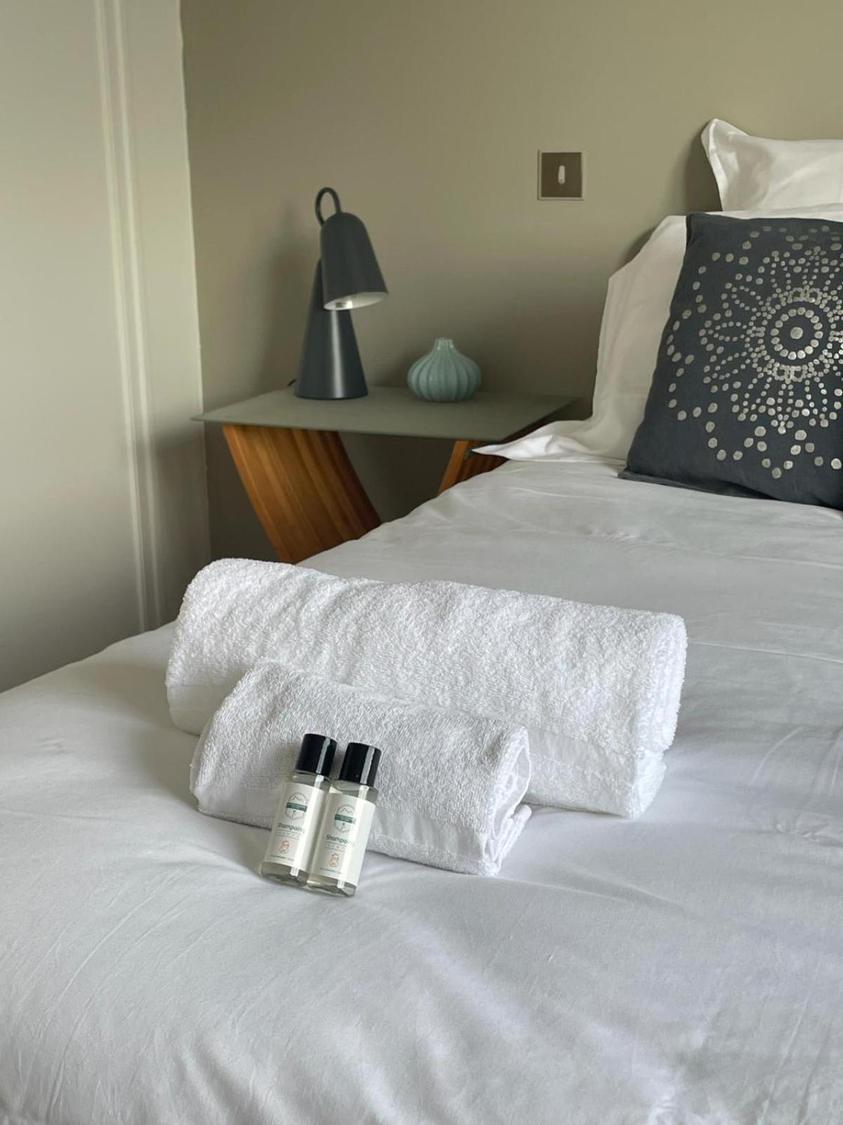 Tournette-Comfortable And Quiet Luxury Apartment Annecy Buitenkant foto